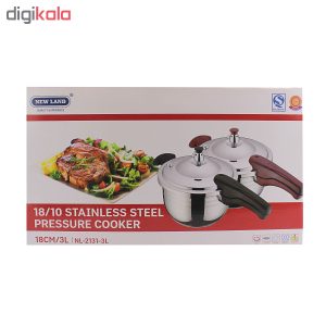 زود پز نیولند مدل NL-2131 گنجایش 3 لیتر