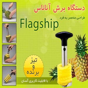 اسلایسر آناناس مدل sh100